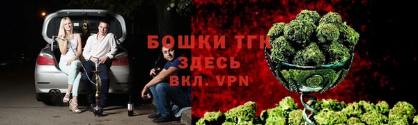 ГАЛЛЮЦИНОГЕННЫЕ ГРИБЫ Снежинск