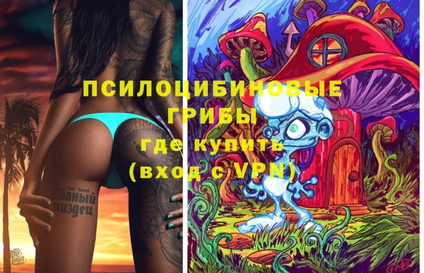 соль ск Вязники