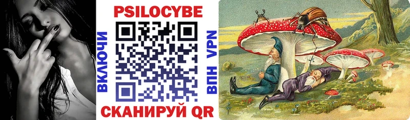 Псилоцибиновые грибы Cubensis  где купить наркотик  Магас 